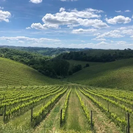 Alojamento de Turismo Rural Macinello *