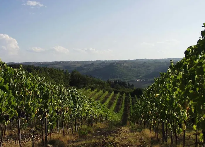 בית חווה Macinello *