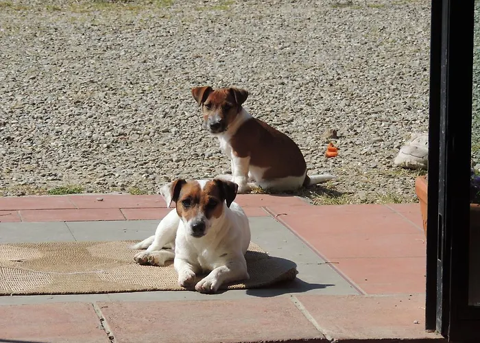 Macinello Montefiridolfi