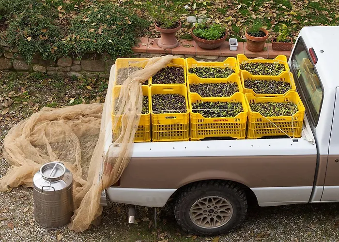 Macinello בית חווה Montefiridolfi