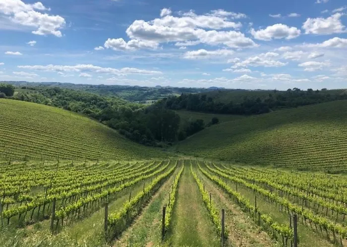 בית חווה Macinello *